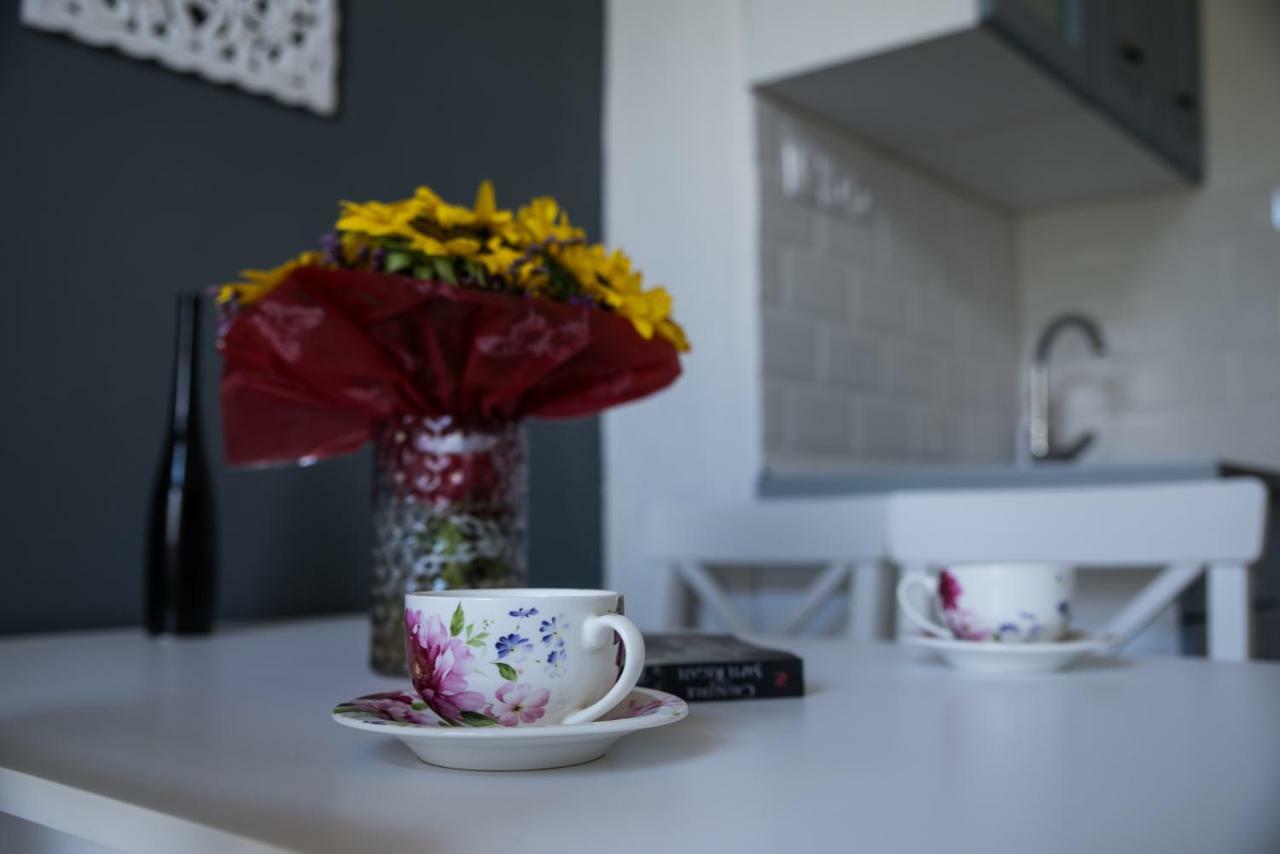 קלוז'-נאפוקה Ultra Central Apartment מראה חיצוני תמונה